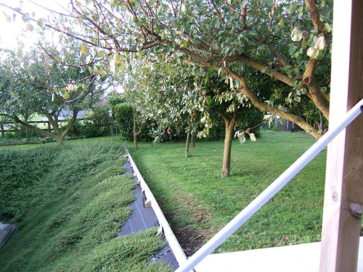 Memory Lane Country Cottage Cambridge Extérieur photo